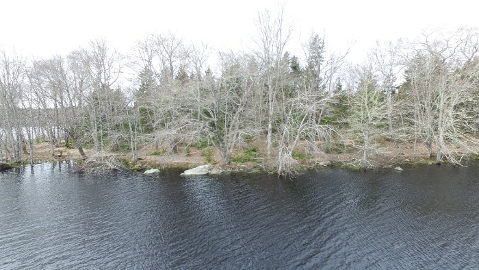 WentworthHalbinsel (70)